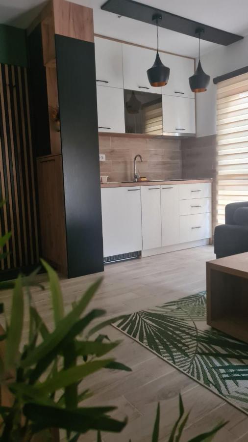 Apartmani Part Divčibare Exteriér fotografie